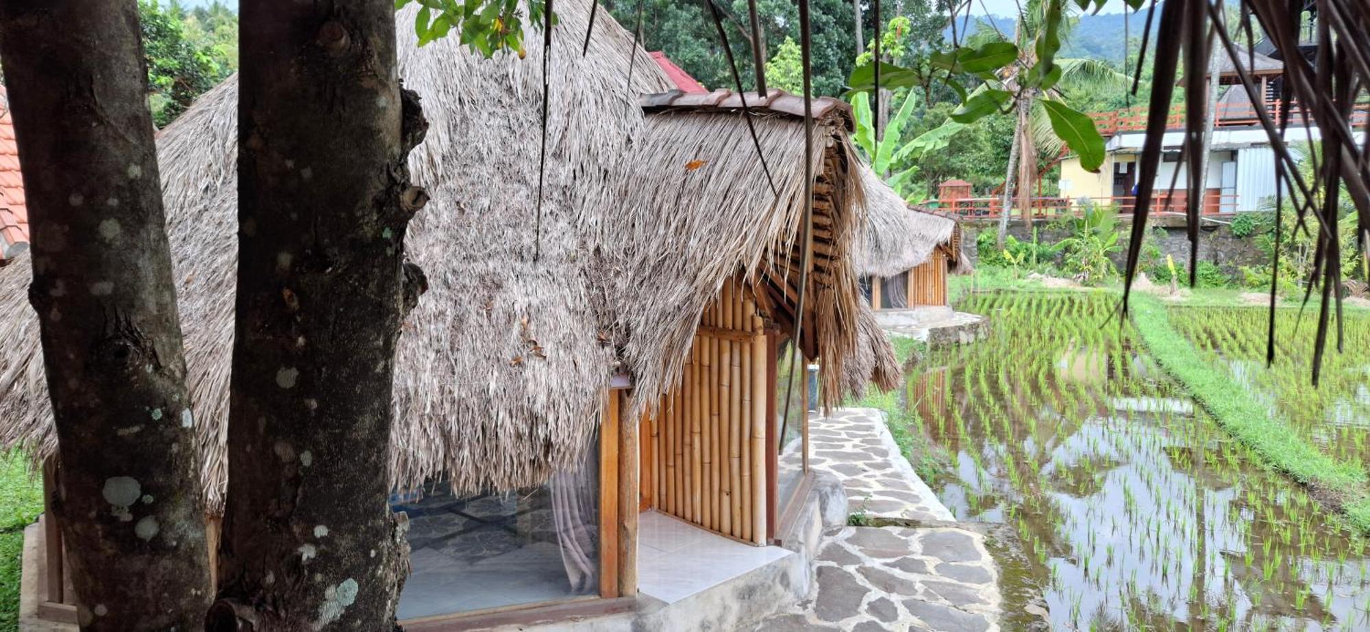 Uma Nirmala Aling-Aling Hotel Singaraja Exterior foto