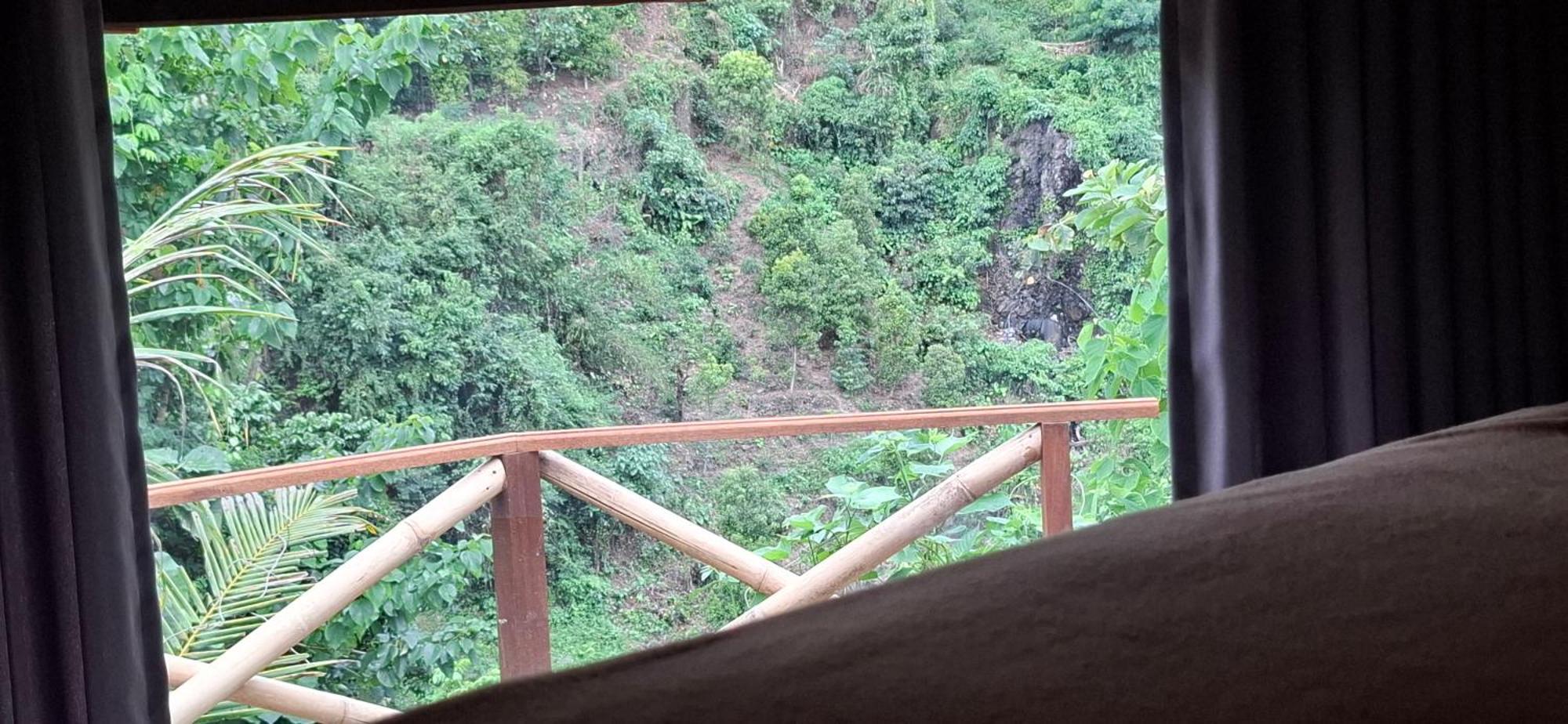 Uma Nirmala Aling-Aling Hotel Singaraja Exterior foto