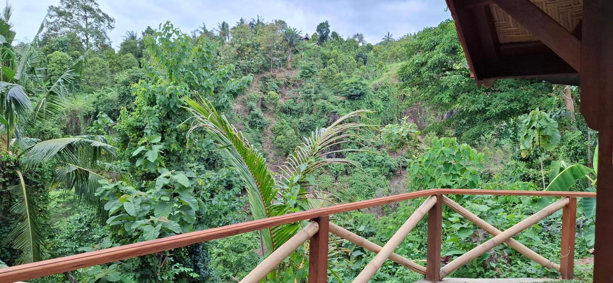 Uma Nirmala Aling-Aling Hotel Singaraja Exterior foto